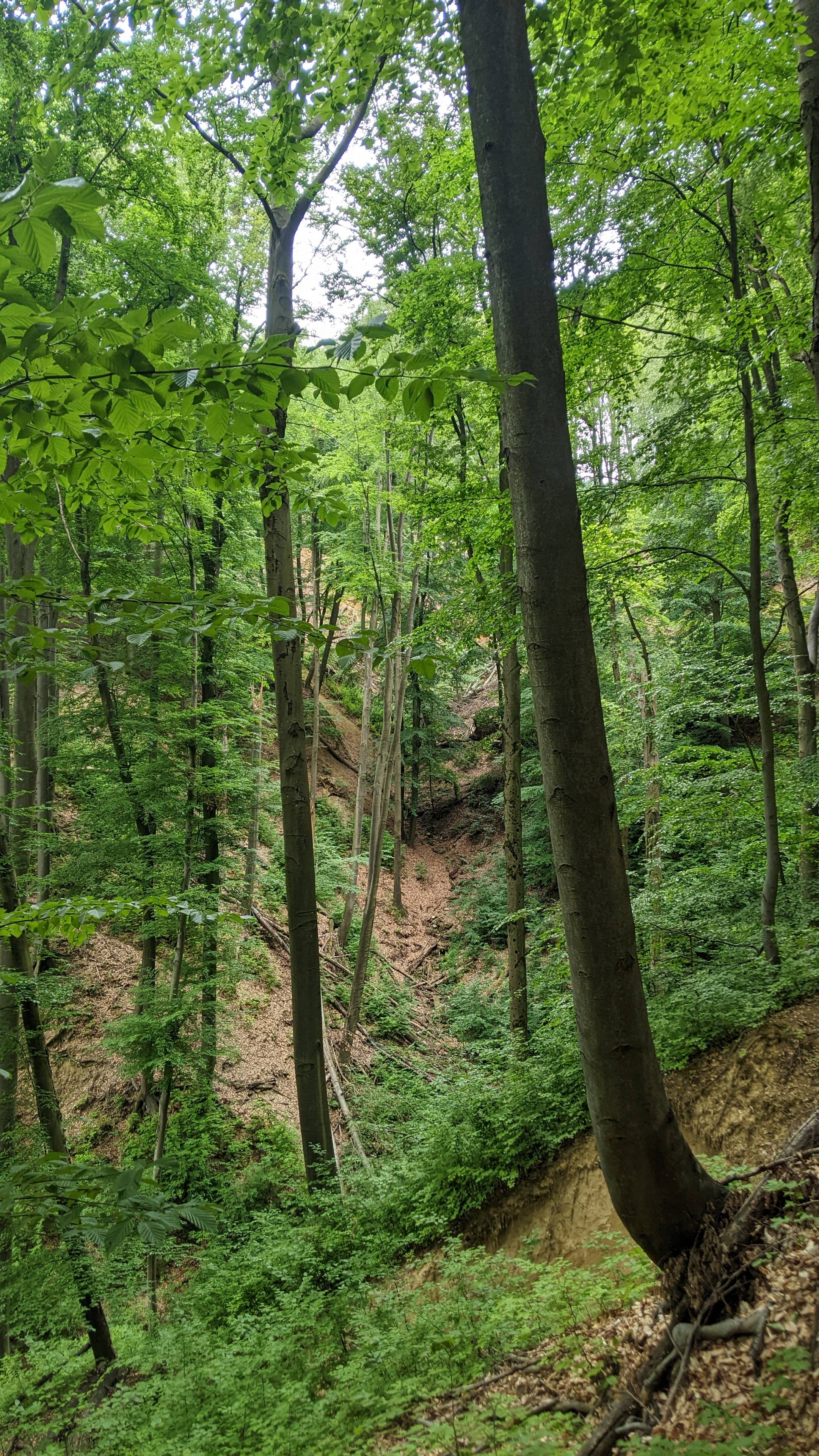 Mátra: Parádsasvár - Ilona-völgyi vízesés - Mátrafüred 1. photo