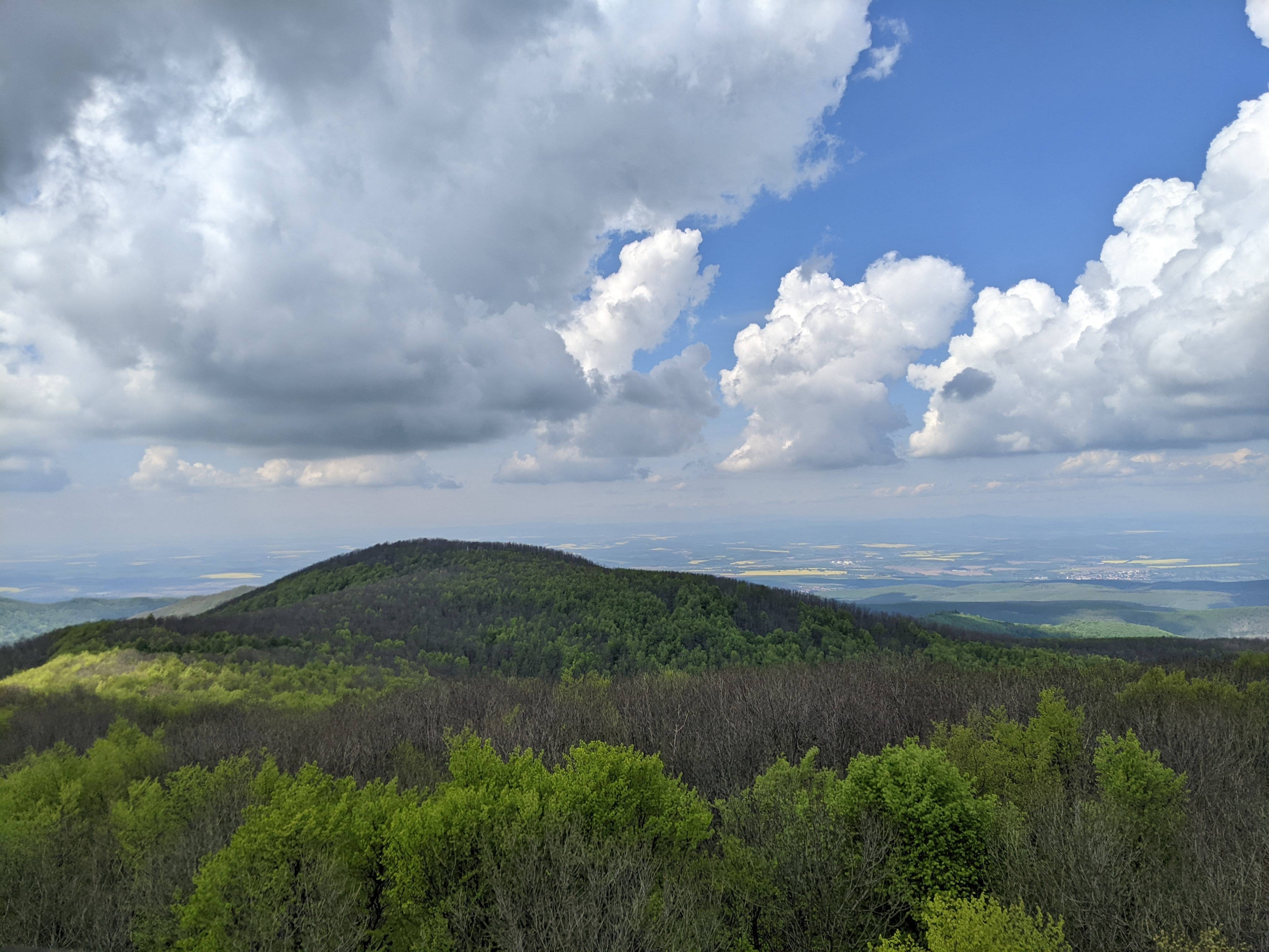 Börzsöny: Börzsönyi Zöld 1. photo