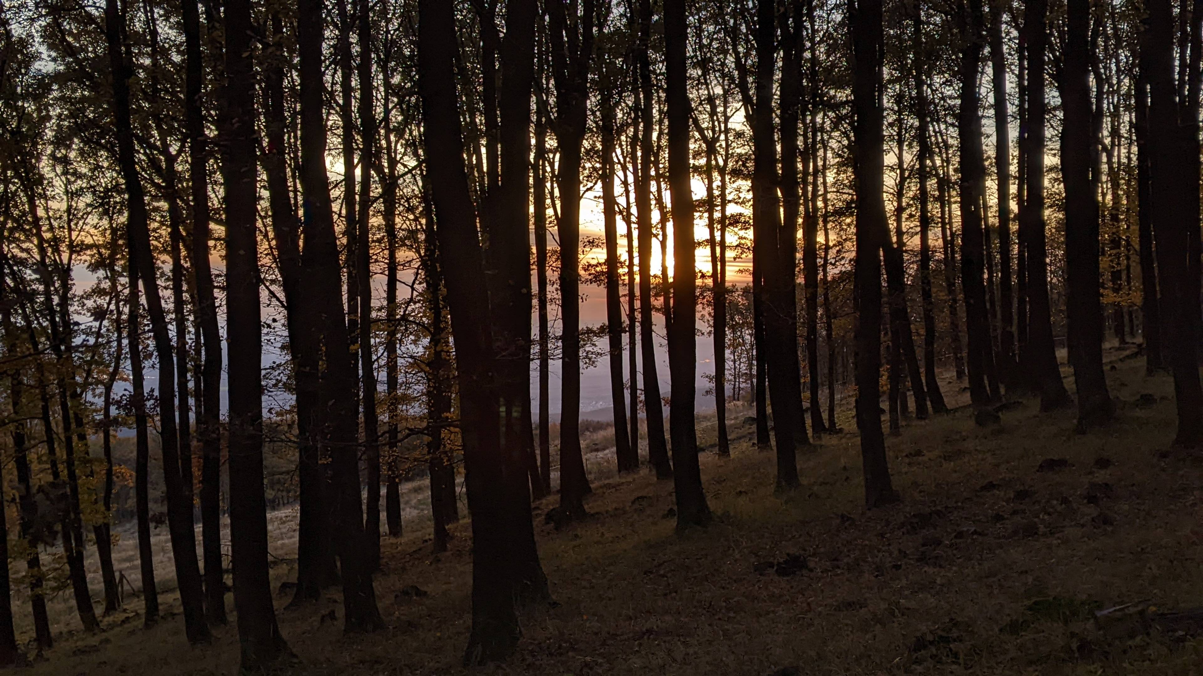 Mátra: Mátrafüred–Kékes, meg a sas 1. photo